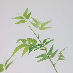 Rami di Bambù Moso di Alta Qualità in Seta Vegetale, Composizioni di Piante Verdi, Foglie di Bambù Artificiali - Product Image 2