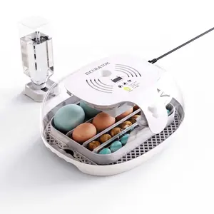 Mini incubatori automatici digitali da 16 uova con display della temperatura uovo automatico LED che gira luce uovo acqua automatica esterna