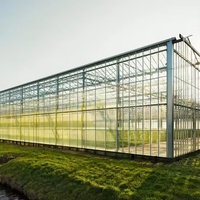 Serre à travées multiples de type Venlo-Grande serre transparente en verre trempé pour la culture commerciale de légumes/agricoles