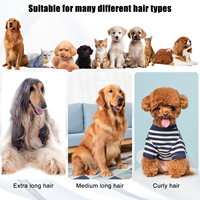 Kit de toilettage pour animaux de compagnie 4 en 1, aspirateur multifonctionnel pour poils de chien, kit de toilettage pour chien, pour l'élimination des poils d'animaux, nettoyage à domicile
