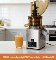 2026 Meer dan 80 procent persentage Press NS-300B Commerciële Sapcentrifuge 750W Heavy Duty Fruitpers Machine Voedselveilige Nylon Hoge Opbrengst