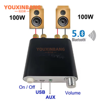 Module d'amplificateur audio 5.0 100W+100W, double canal stéréo 2.0, boîtier en alliage d'aluminium