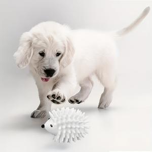 Grensoverschrijdende Buitenlandse Handel Nieuw Product Dropshipping Bal Hond Speelgoed Kauwen En Tandgezondheid Ideaal - Product Image 4