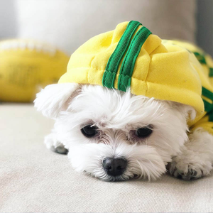 Fabricante al por mayor clásico invierno cachorro Sudadera con capucha cuatro patas mascota perro ropa para perro gato - Product Image 3