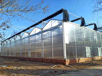 Serre transparente en polycarbonate avec système hydroponique pour tomate concombre poivre