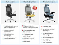 Chaise de bureau ergonomique en maille, vente en gros d'usine, plusieurs couleurs au choix, support lombaire réglable 2D, chaise de direction à dossier haut