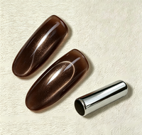 Pigment magnétique en aluminium effet œil de chat 9D marron mocha métallique pour vernis à ongles en gel, salon et manucure DIY