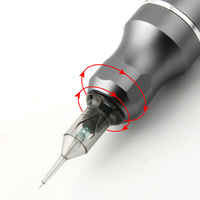 Aiguilles de tatouage universelles stérilisées professionnelles 0,18/0,2/0,3 mm Pointes longues Cartouches de machine à tatouer PMU