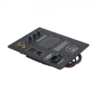 Théâtre Audiophile Subwoofer Amplificateur Board Plate Amp Subwoofer Ethics Sound Rated 200W Output