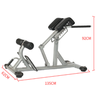 Chaise Romaine Commerciale de Haute Qualité, Banc d'Extension Dorsale, Équipement de Musculation, Banc à Haltères pour Gym à Domicile, Machine d'Entraînement des Lombaires