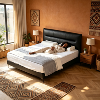 Lit Moderne en Cuir et Bois Rembourré, Taille King ou Queen, avec Rangement Optionnel, Cadre de Lit en Fer Assemblé pour Appartement et Chambre à Coucher