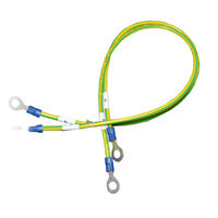 Cable de Tierra con Terminal de Anillo de 2.5mm², Amarillo-Verde, PE, 450V 750V, Cobre Flexible, Certificación CCC, Longitud Personalizada OEM