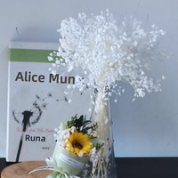 Bunga Kering White Dreamy Starry Babys Breath, Bunga Awet, Rangkaian Bunga, Dekorasi Pernikahan, Buket Pengantin