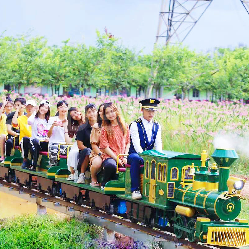 Attraction Hot Sale Electric Train on