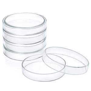 35Mm 60Mm 90Mm 100Mm 120Mm Bening Plastik Sekali Pakai Petri Dish Steril dengan Tutup untuk Persediaan Laboratorium Kimia - Product Image 3
