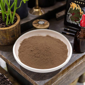 코리올루스 베르시콜로 트라메테스 베르시콜로 추출물 50% 식품 등급 비타민 버섯 가루 야생 재배 유기농 포장 드럼 - Product Image 3