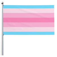 Drapeau de fierté transmasculin bon marché gay lesbienne 3 x 5 pieds pour décorations extérieures