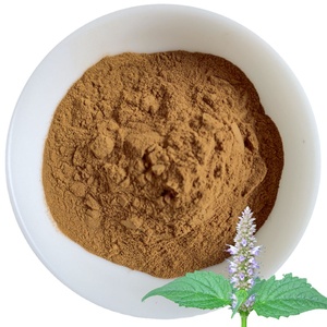 Extracto de agasstache, alta calidad, venta al por mayor de fábrica - Product Image 1
