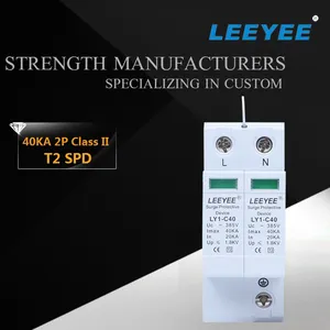 LEEYEE SPD 2P 385V AC Surge Protector 20ka 40ka Surge Protective Device For Lightning Protection