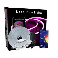 Bande néon lumière couleur de rêve Led corde RGBIC lampe Smart App contrôle Wifi adressable néon course Led bande
