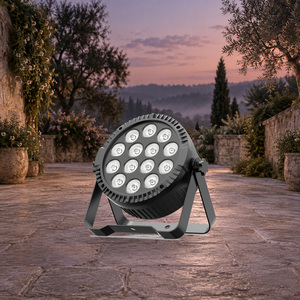 Luz Par para Escenario, 80W RGBW 4 en 1 LED, Ángulo de Haz de 25 Grados, Control DMX para Eventos y Fiestas - Product Image 2