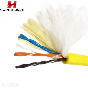 <span class=keywords><strong>สาย</strong></span>เคเบิลใต้น้ำแบบไฮบริดสำหรับ ROV ชนิดมีแรงลอยตัวเป็นศูนย์  ประกอบด้วย<span class=keywords><strong>สาย</strong></span>ไฟทองแดง <span class=keywords><strong>2</strong></span> แกน และสายสัญญาณแบบคู่บิดเกลียว 4 แกน หุ้มฉนวน PE - Product Image 5