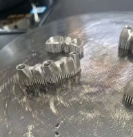 Penjualan Pabrik Printer 3D Logam SLM Otomatis Presisi Tinggi dengan Dukungan PLA untuk Bagian Presisi Kecil dalam Kedokteran Gigi.