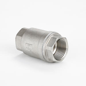 DN20 3/4 ''2 Pc NPT Gewinde 316 Edelstahl MM Typ Feder Vertikales Rückschlag ventil - Product Image 3