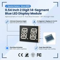 Modul Tampilan LED 2 Digit 14 Segmen Profesional 0.54 Inci Cahaya Biru Alfanumerik untuk Peralatan Sistem Audio Presisi.