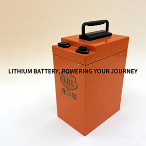 60V 50Ah 磷酸铁锂电池，带集成 BMS，工厂供应，适用于电动车辆换电池系统（2轮/3轮） - Product Image 1