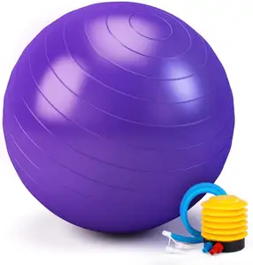 Wholesale PVC Yoga Exercise Balls Custom Logo Heavy Duty 65cm Anti-Burst Balance Fitness Swiss Ball Accessories 55cm 75cm 95cm