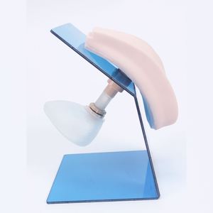 KyrenMed kadın üriner kateterizasyon eğitim simülatörü kadın mesane modeli hemşirelik kateter modeli üretral kateterizasyon - Product Image 5