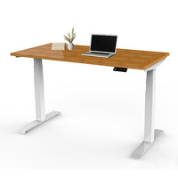 Table d'ordinateur réglable, double moteurs électriques, personnalisé, table de levage pour bureau,