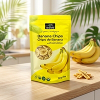 OEM ODM bedrukte staande pouches met ritssluiting, aluminiumfolie zakken voor bananenchips, gedroogd fruit, gekonfijt fruit, snackverpakkingen