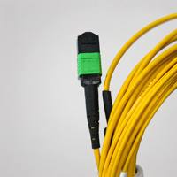 Kabel Patch Fiber Breakout MPO ke SC, Kabel Fan-Out 8-Core MPO-8 ke 8xSC APC, Polaritas Tipe B Singlemode OS2, Panjang Kustom LSZH