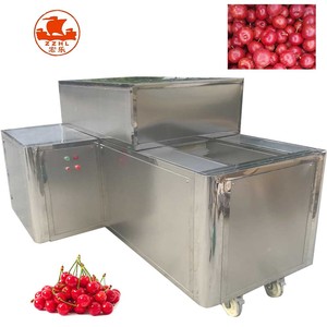 Venta caliente 150 kg/h La mejor máquina para quitar semillas de <span class=keywords><strong>cereza</strong></span> Fecha Máquina para deshuesar frutas de oliva con CE - Product Image 2