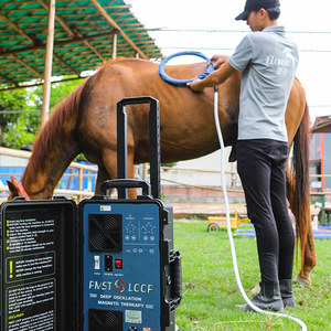 Equine Animals Magnetic Therapy for Loop Pemf Physio Magneto 3-in-1 Standing Machine Muscle Pain Relief Body Touchscreen - Product Image 1