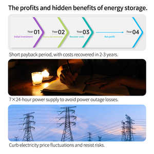 11kva 11Kw ไฮบริดอินเวอร์เตอร์6.2Kw 51.2V ในการปิดกริดพร้อมชุดแผงโซลาร์เซลล์และแบตเตอรี่แพคเกจเต็มรูปแบบระบบไฟฟ้าสำหรับบ้าน - Product Image 5