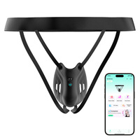 Appareil d'exercice à distance avec application, dispositif d'affichage pour homme, accessoires de personnage