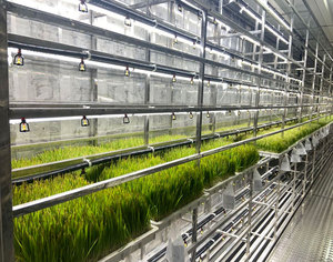 Chambre climatique hydroponique pour fourrage, système de pompe aéroponique automatique à croissance rapide, haute capacité, utilisation facile, agriculture - Product Image 2