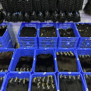 Burma Kıvırcık 15A Kalite İnsan Saçı Demetleri İşlenmemiş Bakire Kütikül Hizalı Bakire Dalgalı Demetler İnsan Saçı Ekleri 10~30 İnç - Product Image 2