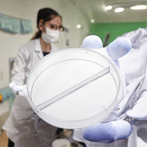 Boîte de Pétri en plastique stérile 90 mm avec 2 compartiments, plaque de culture bactérienne pour usage en laboratoire - Product Image 2
