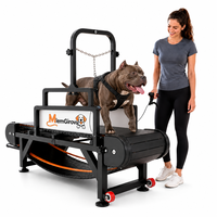 Tapis roulant pour animaux de compagnie sans moteur, sans électricité, prêt à être expédié depuis les États-Unis, pour chiens de petite à grande taille, vente en gros