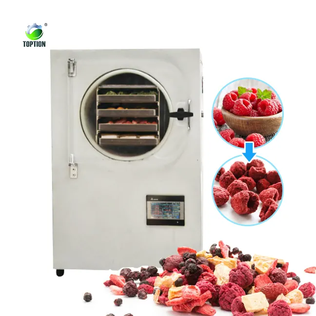 Donmalı kurutucu gıda kurutma makinesi liyofilizatör meyve suyu için liyofilizatör fiyat
