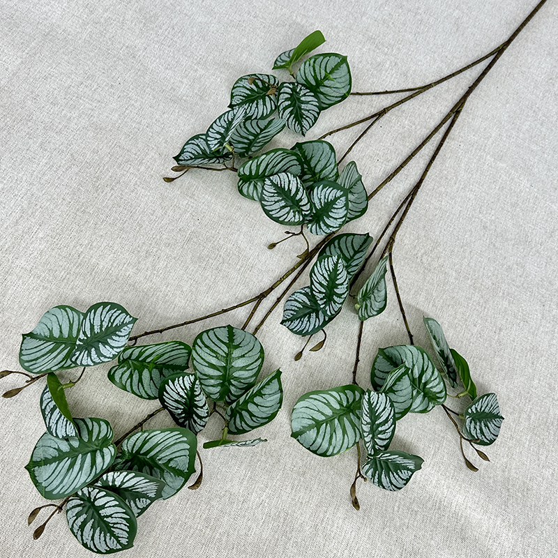 Feuille de lyre blanc-vert