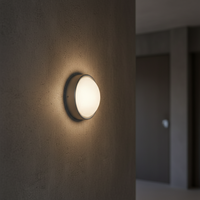 Éclairage LED encastré avec projecteur anti-éblouissement en verre, lentille convexe LED COB à vendre