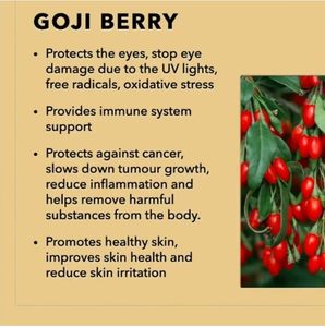 Polvo de bayas Wild <span class=keywords><strong>Gogi</strong></span>, extracto de hierbas rico en betacaroteno, vitamina C, selenio, zinc para un metabolismo saludable, empaquetado en botella - Product Image 3