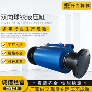 Cilindros Hidráulicos de Rótula Bidireccional Hechos a Medida por Yushengli para la Construcción de Edificios, Opciones de Venta al por Mayor, Servicios de Diseño - Product Image 2