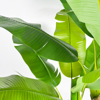 Fabrication d'un arbre bananier artificiel hautement réaliste de 200 cm, plante artificielle pour la décoration intérieure de la maison et du bureau