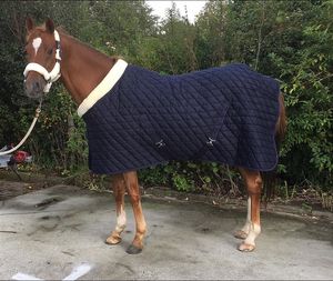 Tapis de cheval équestre Offre Spéciale personnalisé Quilting couverture stable tapis de cheval d'hiver pour l'équitation - Product Image 2